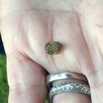 Jack Glaze - @glazeedfingers - Instagram