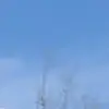 Jack Glen - @jack.glen1 - TikTok