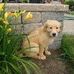 Jack Gluth - Facebook