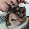Jack Go - @jackgomimidarling - TikTok