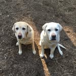 Jack Gobble - @jackgobble.1961 - Instagram