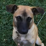 Jack Gobble - @copper_fam112 - Instagram