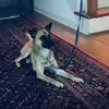 jack.gobble - @mr.cooper03 - TikTok
