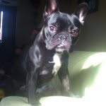 Jack Goettman - @jack_goettman - Instagram