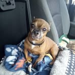 Jackie Goforth - Facebook