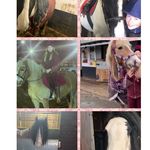 ᴏᴜʀ ʙᴇsᴛғʀɪᴇɴᴅ ᴊᴏᴜʀɴᴇʏ🥰 - @jack_goldie_lady_equii - Instagram