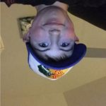 Jack Goldie - @spam_for_jack_6 - Instagram