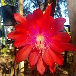 Jack Golightly - @golightlyjack - Instagram