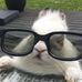 Jack Goloji - Facebook