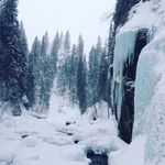 Jack Goodfellow - @jackgoodfellow22 - Instagram
