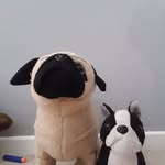 Jack Goodridge - @jack.goodridge - Instagram