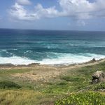 Jackie Rowe-Goodridge - @rowegoodridge - Instagram
