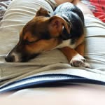 Jack Goody - @goody.jack - Instagram