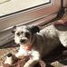 Jack Goody - Facebook