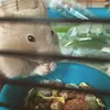 Jack Gorry425 - @ja.ck.11 - TikTok
