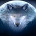 Wolfman Jack Gossard - Facebook