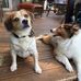Jack Gosselin - Facebook