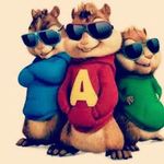jackgoudy - @jackdog656zach - Instagram