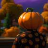 Tik tok gourdy - @jack_gourdy - TikTok