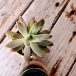 Jackie Grammer - @velvet_rain_gifts - Instagram