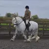 jackgratton26 - @jackgratton26 - TikTok