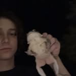 JackGratton - @jackgratton_ - Instagram