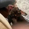 jack - @jack.greenleaff - TikTok
