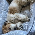 Jack Greenway - @jgreenway10 - Instagram