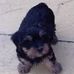 Jack Gribbin - Facebook