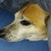 Jack Gribbin - Facebook