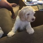 Jack Grillo - @captjack5 - Instagram