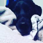 Jack Grillo - @jack.grillolovey050298 - Instagram