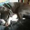 Jack Hadley - @jack.hadley3 - TikTok