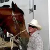 jackhadley777 - @jackhadley777 - TikTok