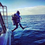 Jack Hagopian - @jackdiver66 - Instagram