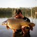 Jack Halliday - Facebook