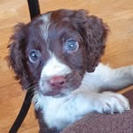 Jack Halpin - @jackhalpin06 - Instagram