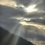 Jack Halverson - @j_halverson0 - Instagram