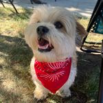 Jack Halverson - @jackhalverson10 - Instagram