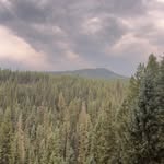 Jack hamill - @_jackhamill - Instagram
