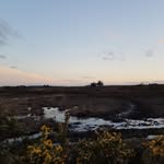 Jack Hammock - @jwhnature - Instagram