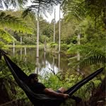 Jack Hammock Adventures - @jack.hammockadventures - Instagram