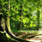 Jack Hamper - @hamper.jack - Instagram