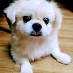 jack hang - @jackhang124 - Instagram