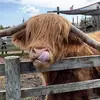 Jack Hansen - @jack.hansenn - TikTok