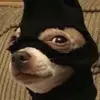 Jack Hansen - @jack.hansen09 - TikTok