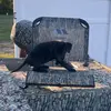 jack harkins - @jackson.harkins3 - TikTok