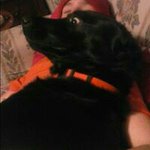 Jack Harrell - @harrelljack - Instagram