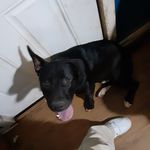 jack harrell - @jackharrell52 - Instagram