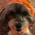 Toby Jack Harrell - @toby.jack_harrell - Instagram